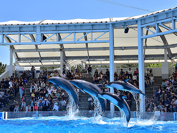 マリンピア日本海（新潟市水族館）